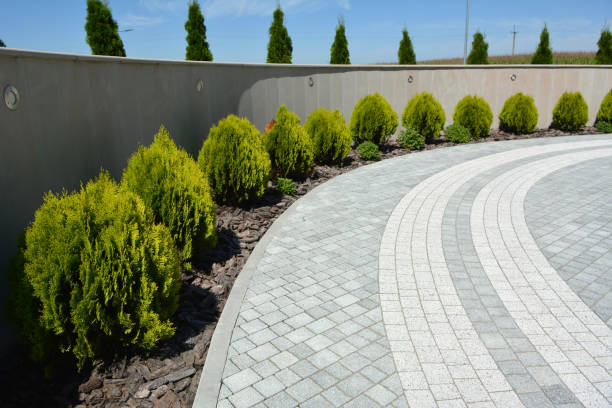 Reliable Fordoche, LA Driveway Pavers Solutions